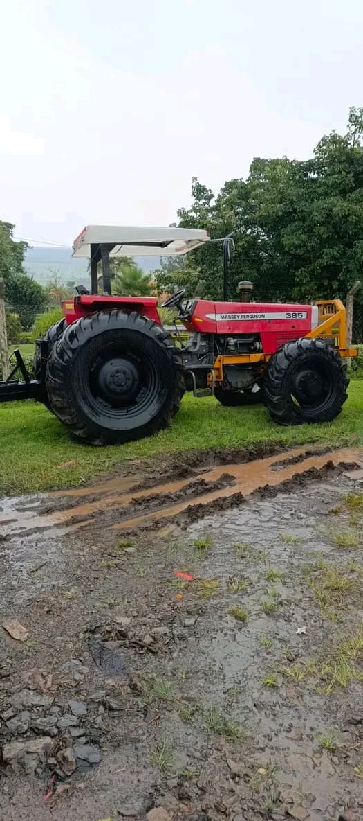 Massey Ferguson 385